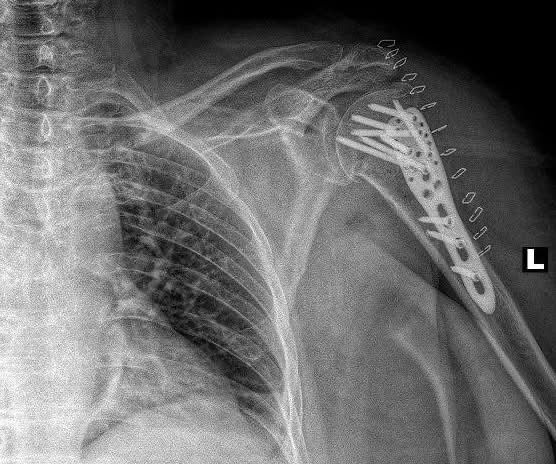 PHOTO 2025 10 15 15 39 33